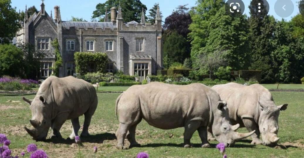 Large Stylish Luxury Cotswold Cottage - Ideal For Families, W/ Ev Charging Andoversford Kültér fotó